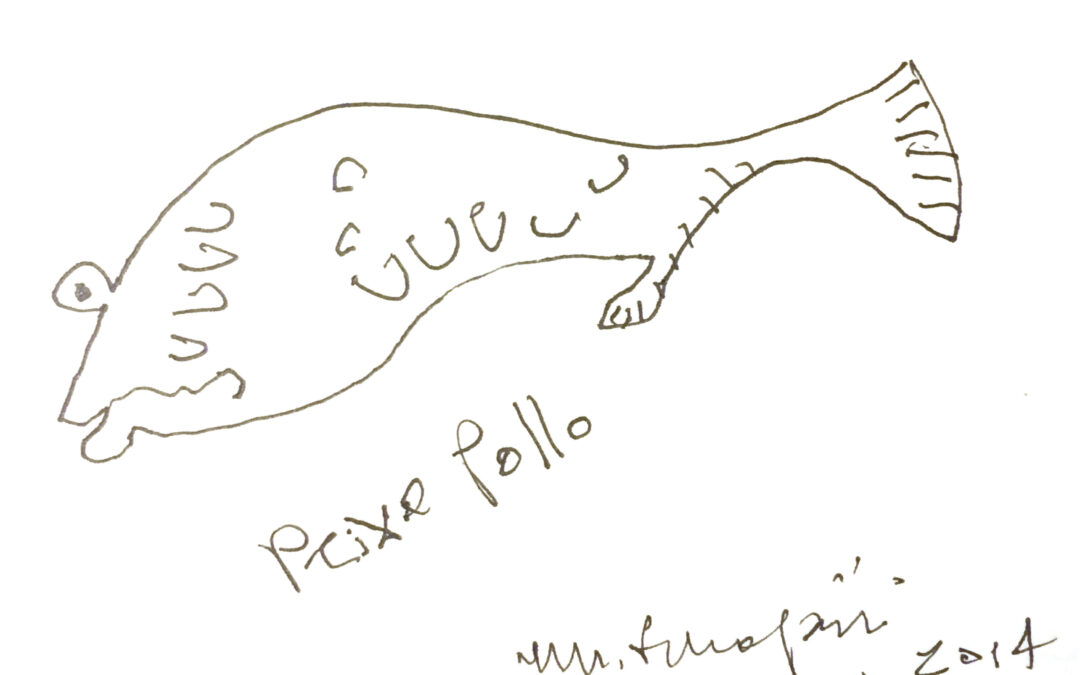 Peixe Pollo, por Marcelo Villafañe