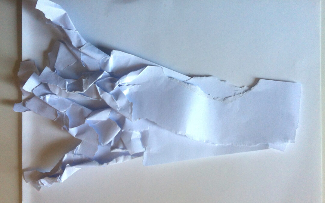 Monstruo (pez) jirones, por Stella Rahola