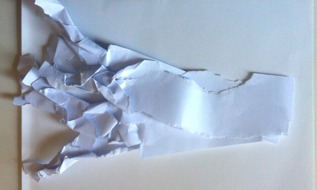 Monstruo (pez) jirones, por Stella Rahola