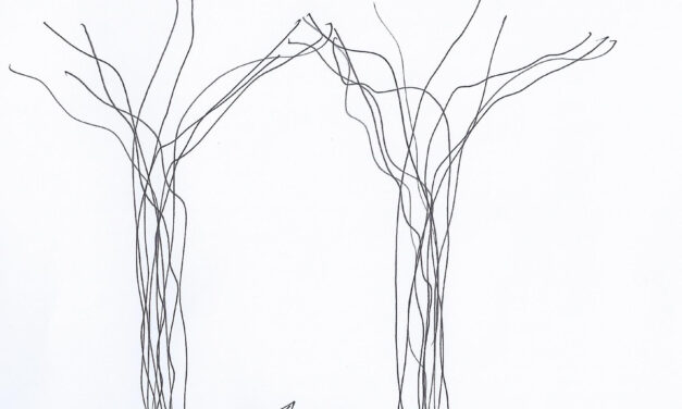 Peix-dinetto, por David Lorente