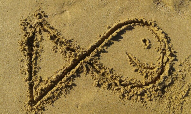 Pez (infinito) de playa, por Júlia Gas Ferrer