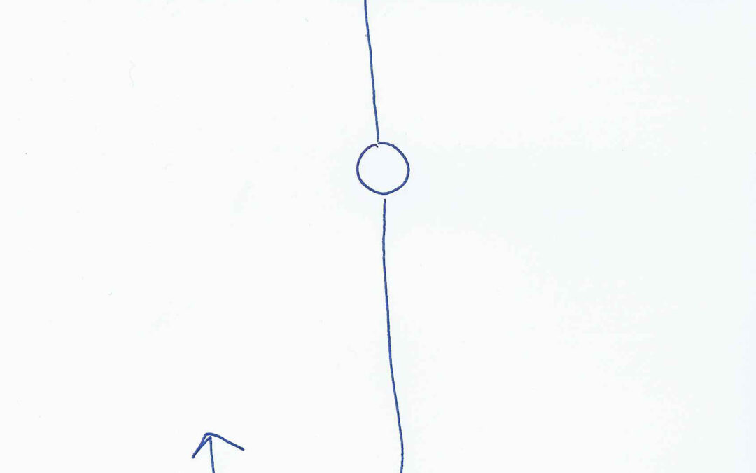 PEZCAO, por Anna Puigjaner