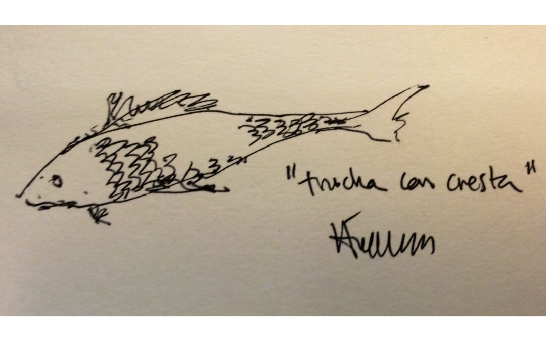 Trucha con cresta, por Ángel Luis Tendero Martín