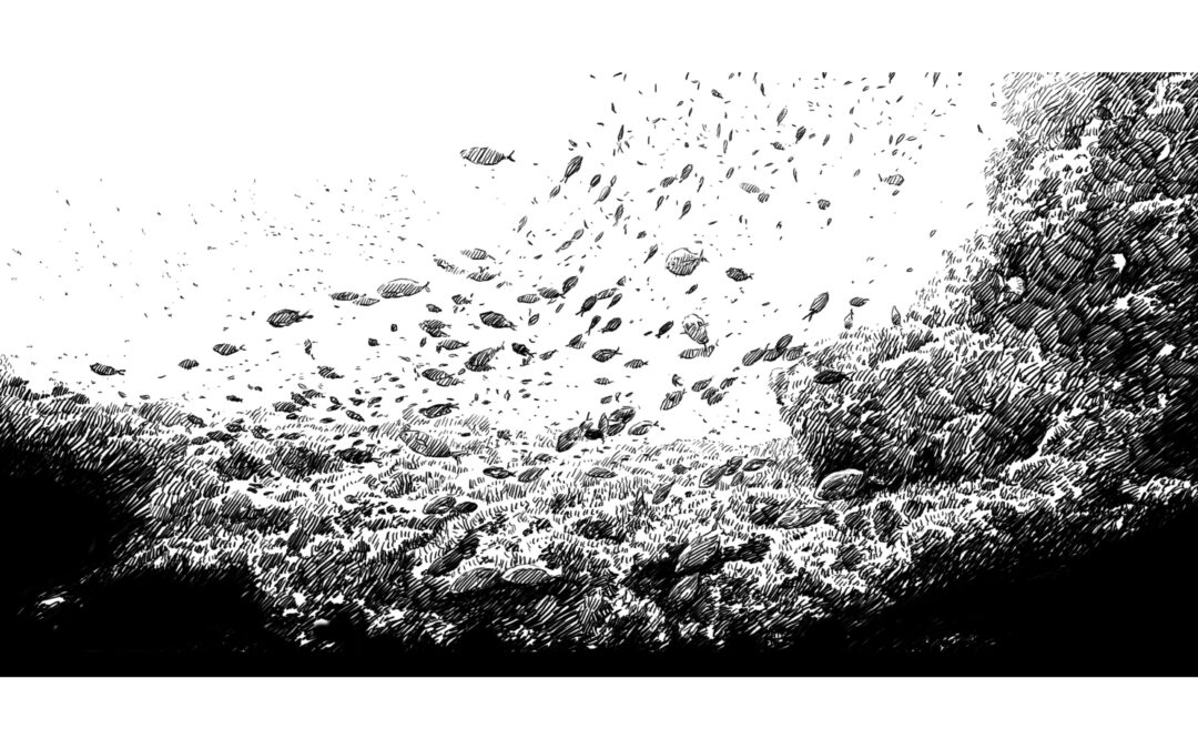 Banco de peces (…sobre el caos coherente), por Ángel Luis Tendero Martín