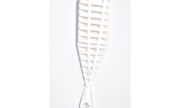 La Ballena Imantada, por Luisa Martí