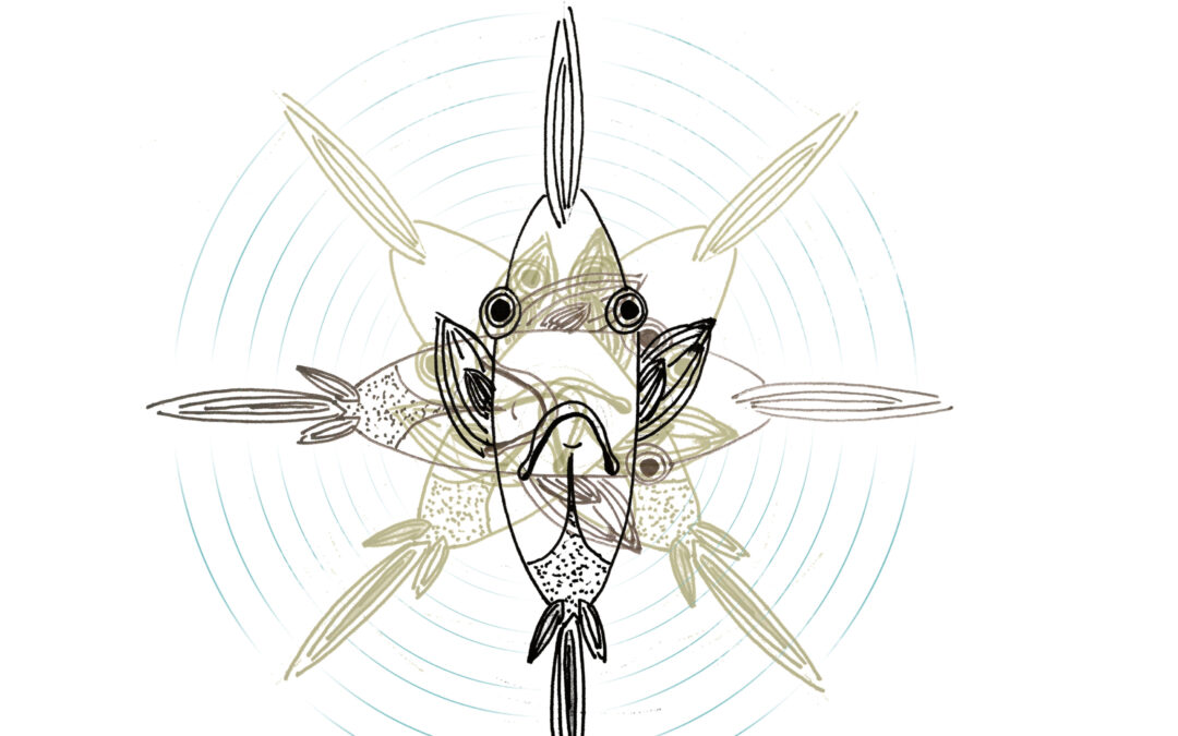 Pez ventilador, por Helena Sanz