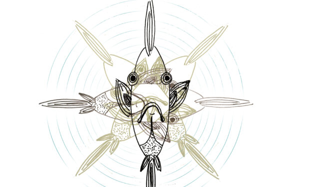 Pez ventilador, por Helena Sanz