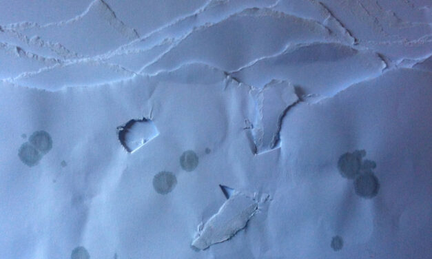 Mar proceloso de primavera, por Stella Rahola y Pati Núñez