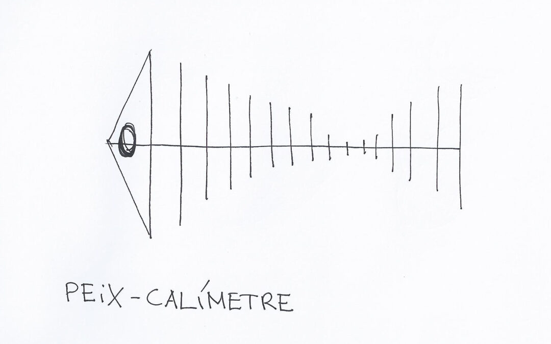 Peix-calimetre, por Ramon Bosch