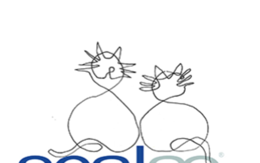 252 Sintonía original para las «Tardes de Acentos y Gatos» SCALAE PODCAST Arquitectura