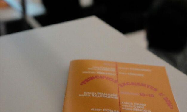 «Principios Excelentes», disponibles catálogo y póster… y convocatoria para repositorio de experiencias paralelas