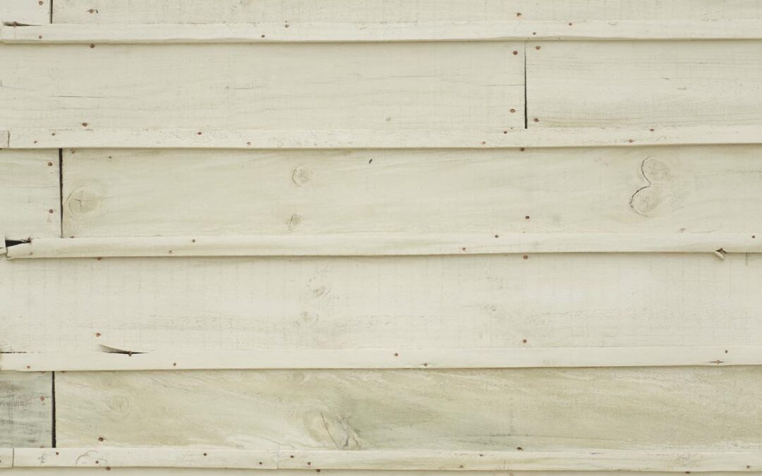 Roland Halbe photo: Casa Klotz, Tonguy (Matias Klotz)