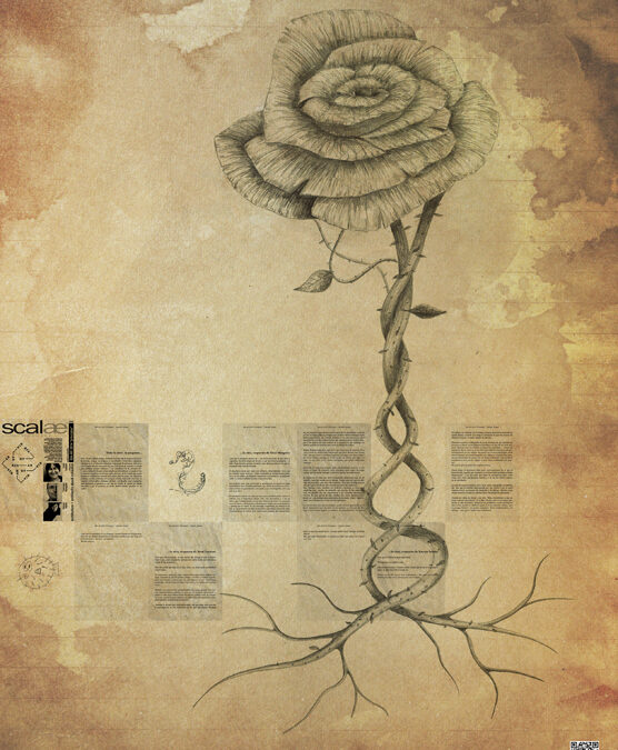 A propósito de Sejima, Lacaton y Mangado, por Manel Paret