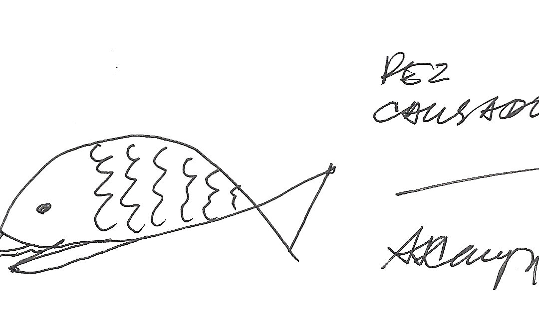 Pez cansado, por Angélica Campi