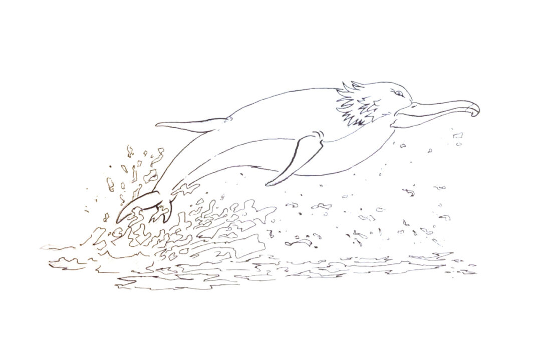 Delfatros por Hora French