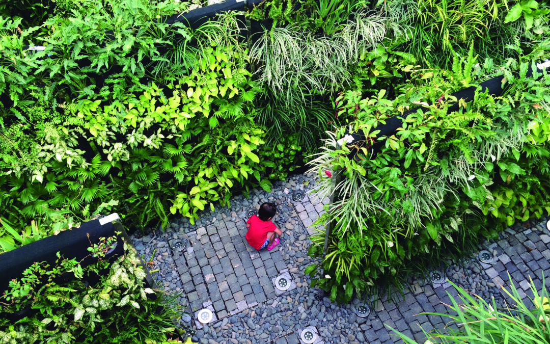 Ta Landscape Architecture: A-Mazing vertical garden, Da Nang, Vietnam