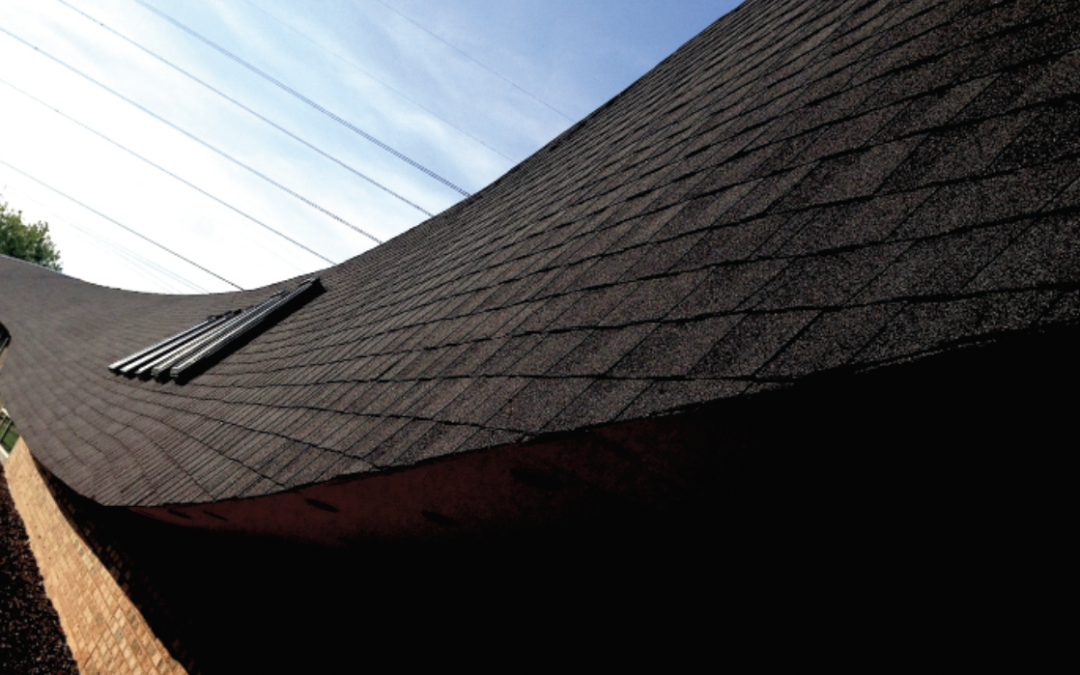 Adrián Luchini: Colegio Montessori, Saint Louis, EEUU