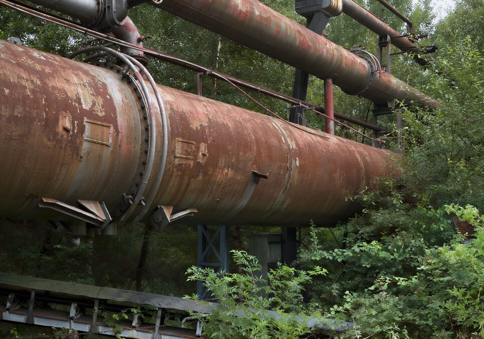 Duccio Malagamba: Reconquistas