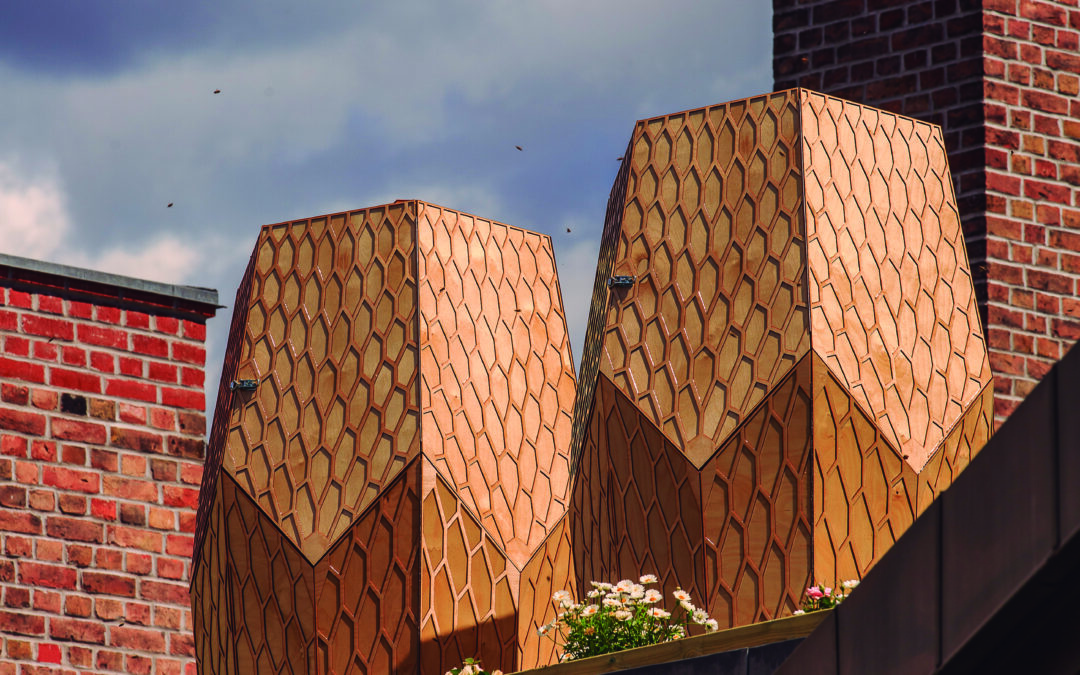 Snøhetta: Colmenas Vulkan, Oslo + UNDER, Lindesnes,  Noruega