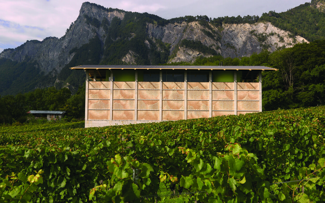 Bearth & Deplazes Architekten AG: Winery Gantenbein Fläsch, Suiza