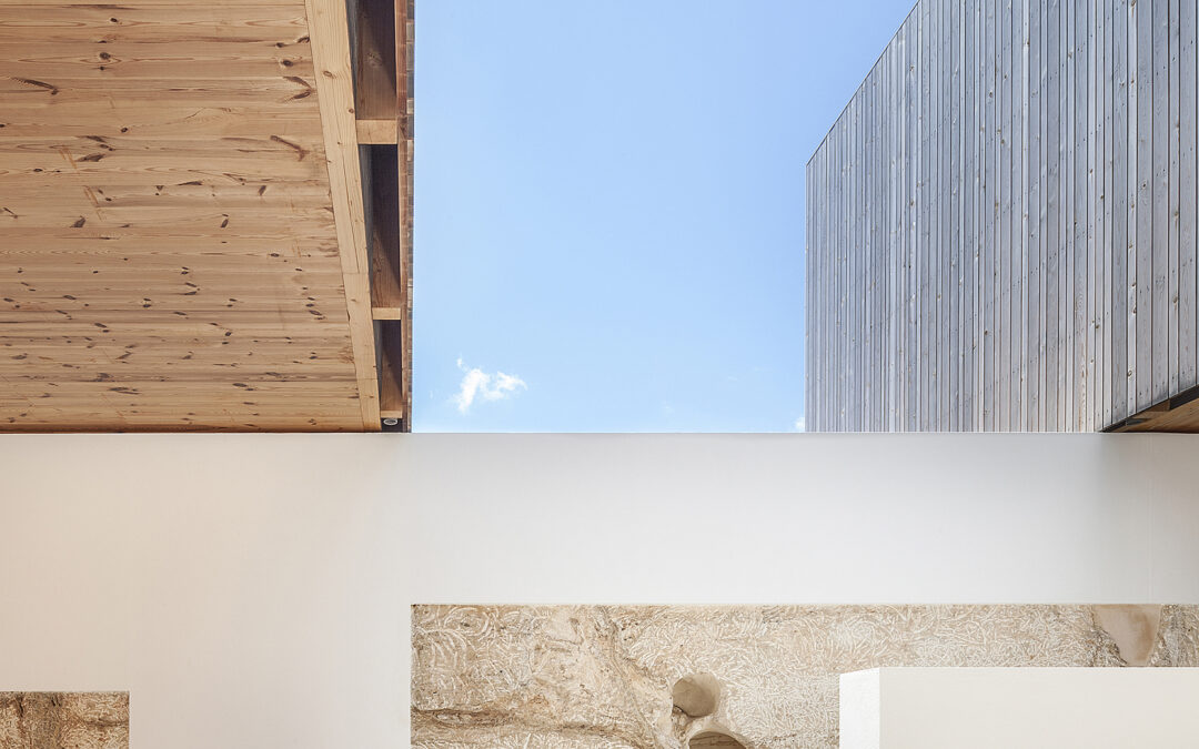 Marià Castelló · Bosc d’en Pep Ferrer, Formentera