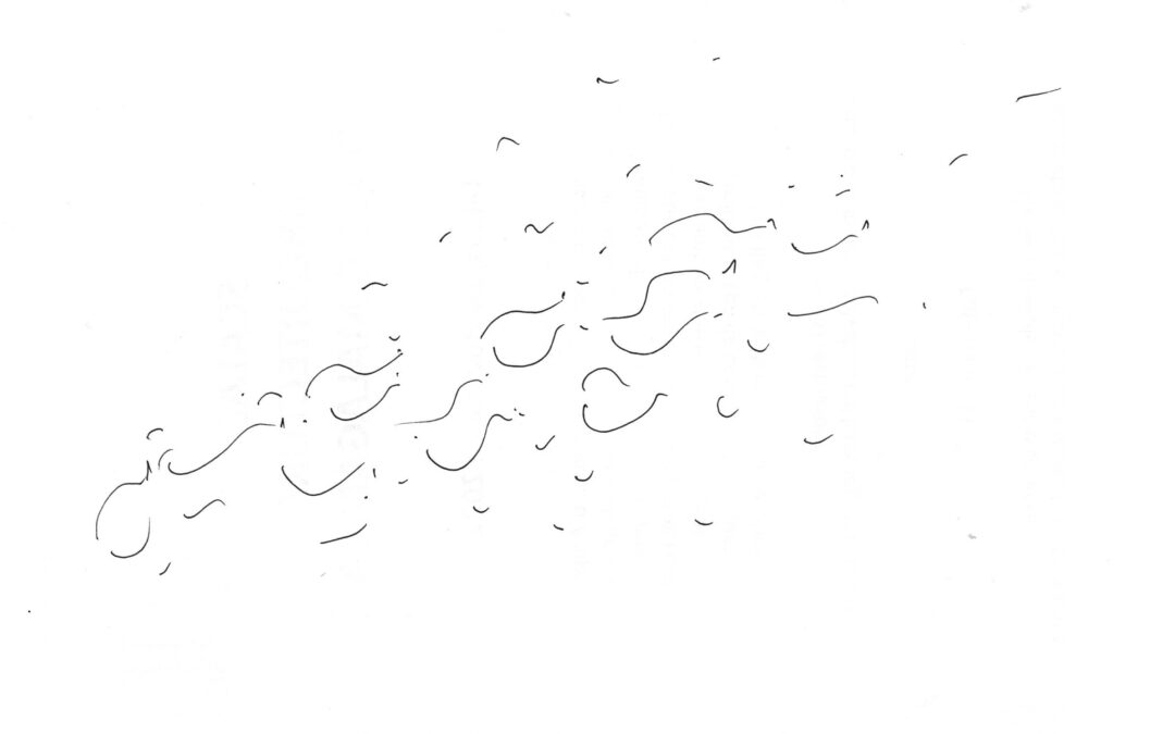 som-hi peix, por Manel Bailo