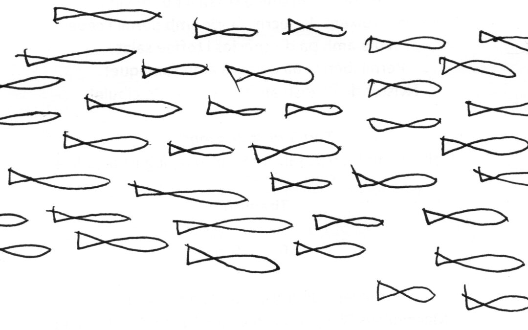 peces que miran, por Inés de Rivera