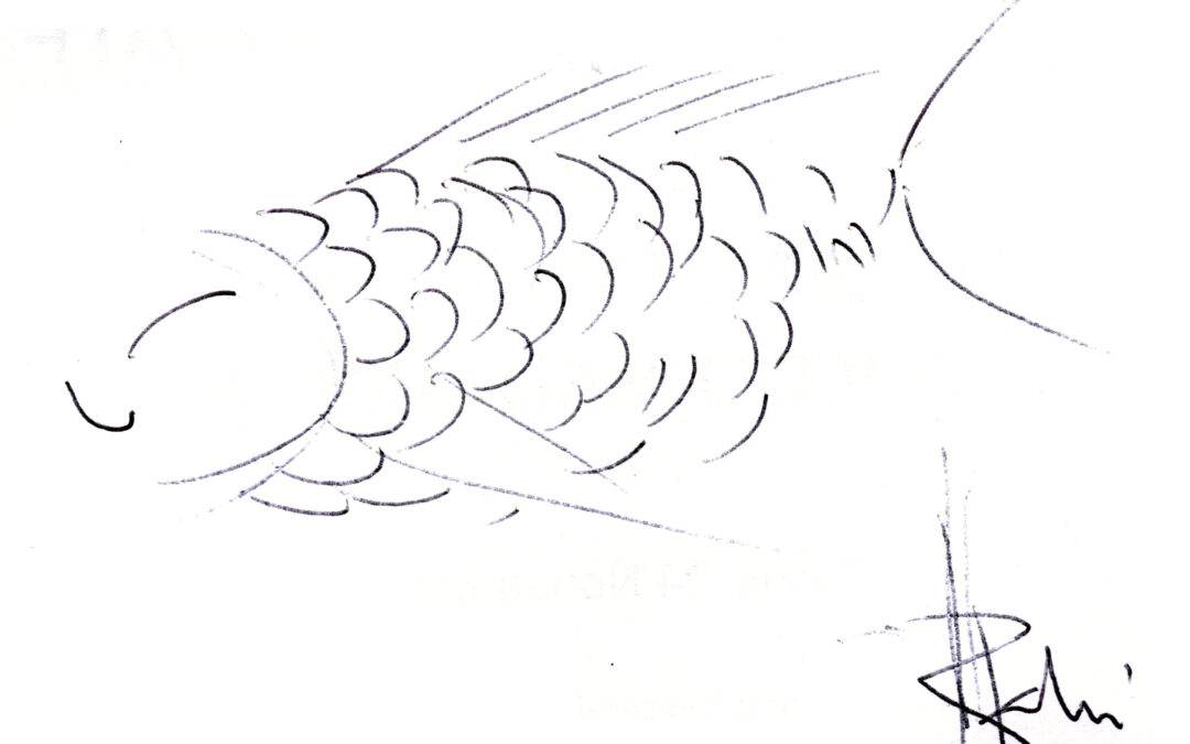 pez paquipallá, por Robert Pallí