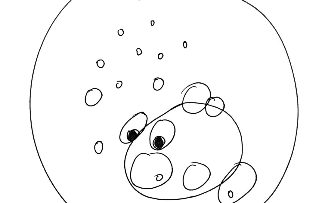 pez-era, por Héctor Salcedo