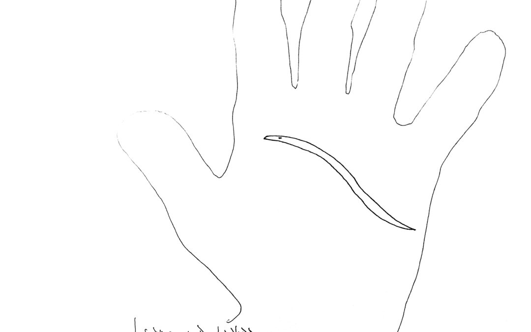 Angula de la vida, por Luis Domínguez Viñuales