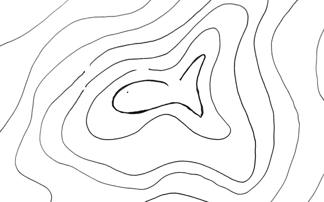 Pez-topo, por Javier Corzán