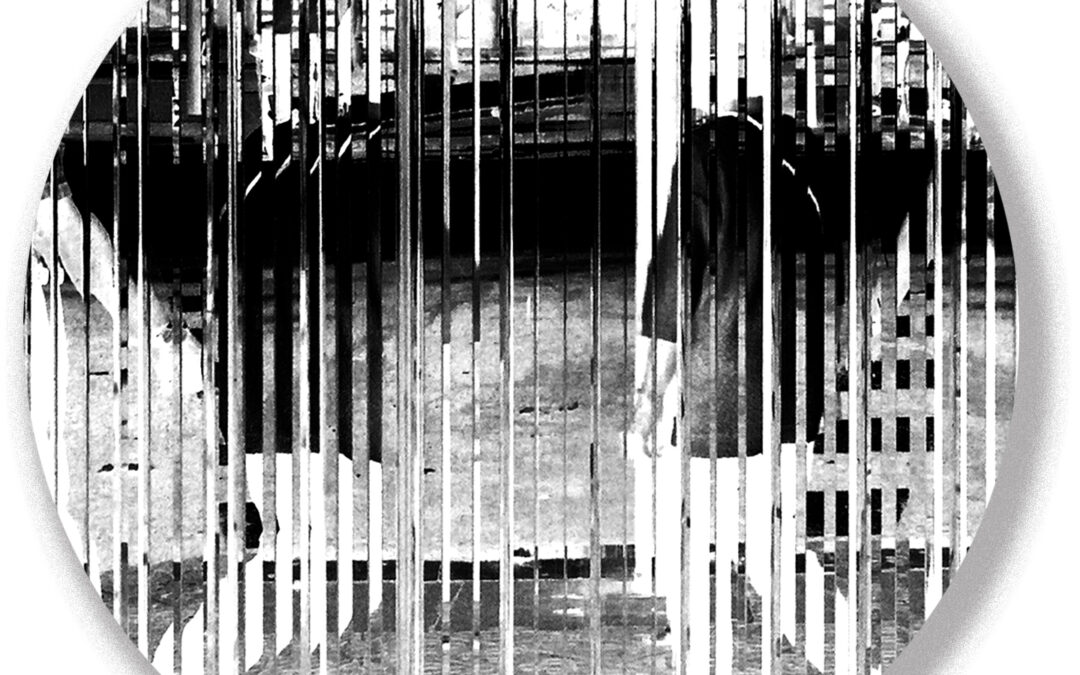 Roca Barcelona Gallery · OAB – ELIA – Borja Ferrater · Cápsula SCALAE «Trazas Trazos Trozos …de Arquitectura»