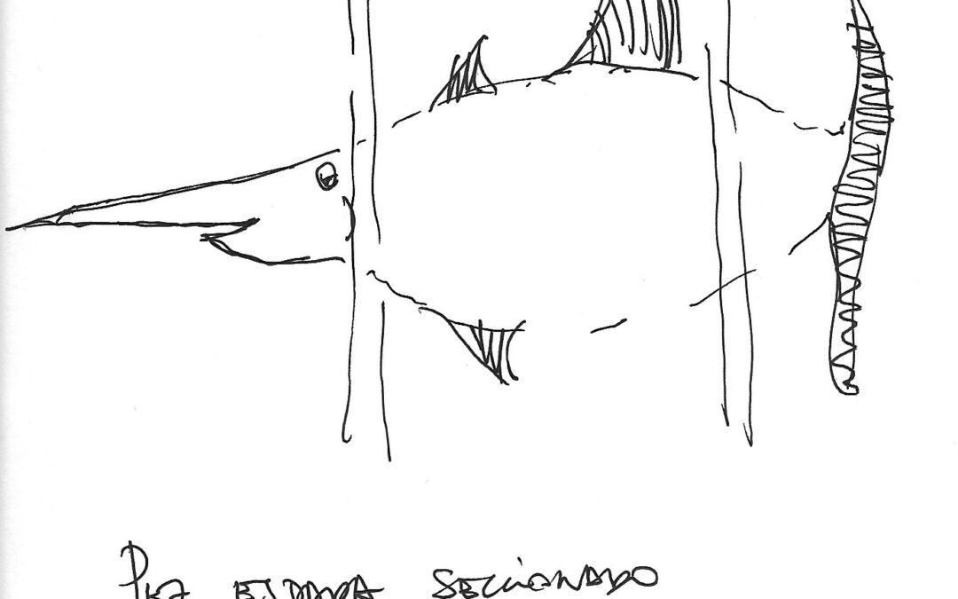 Pez espada seccionado, por Pepe Gascón