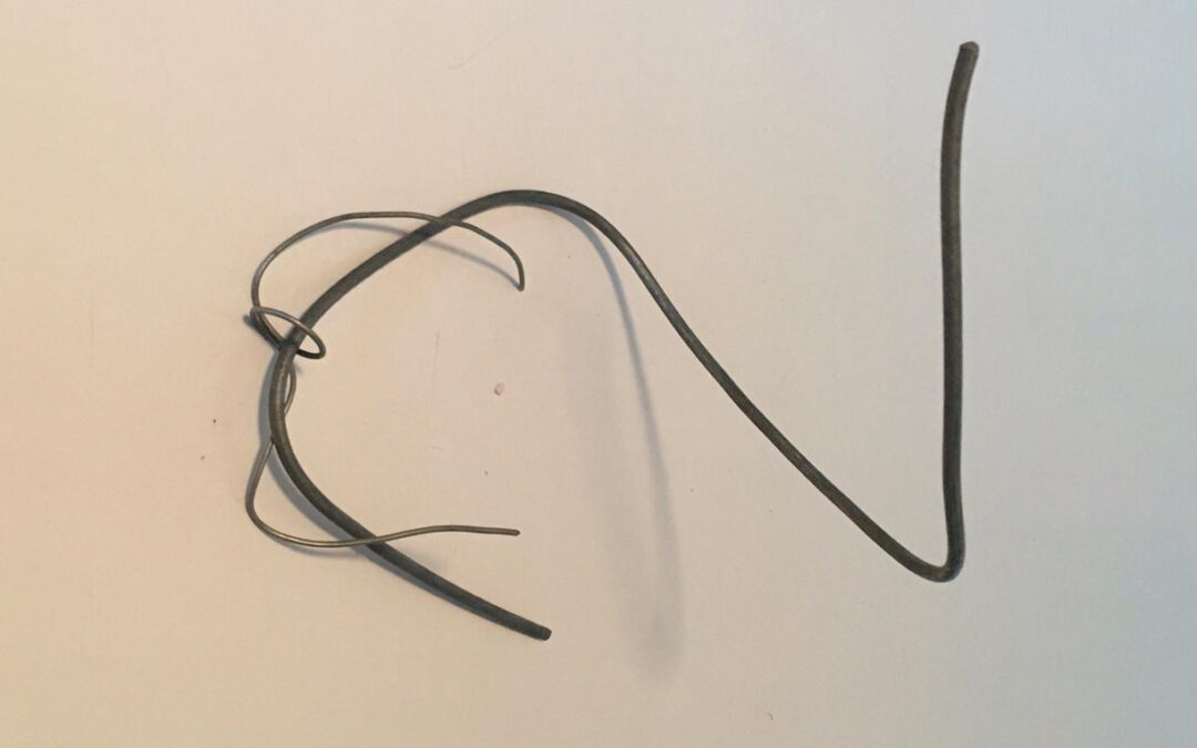 Pez Perro, por Mariano Pemán