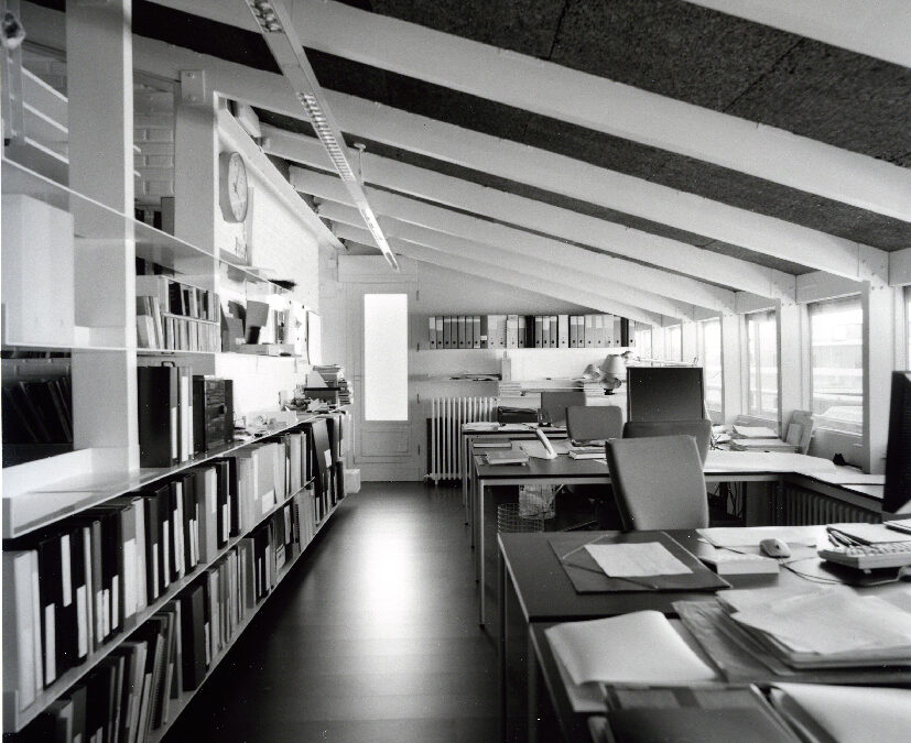 e.G.a estudio primitivo González