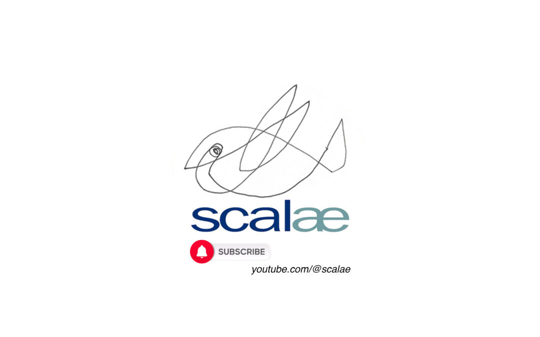 ¿SCALAE? el anuncio del canal youtube para el activismo editorial en arquitectura…