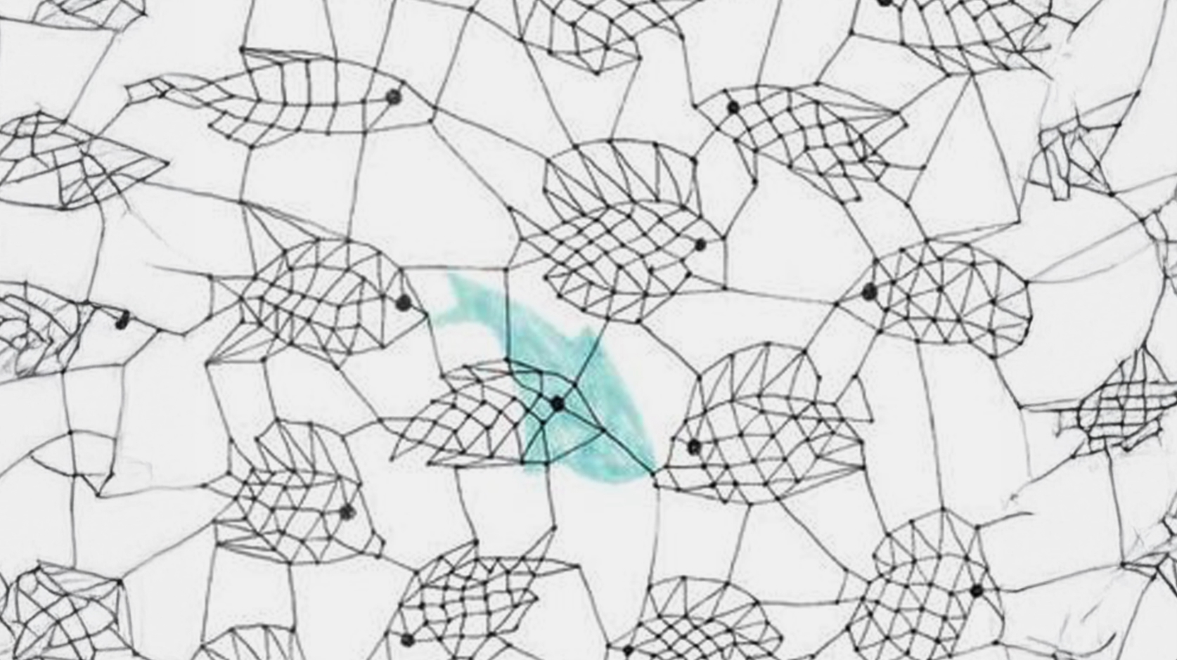 Screenshot Blanca Lleó