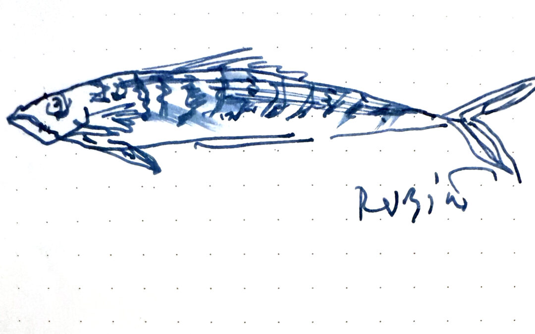 Caballa, por Ignacio Rubiño