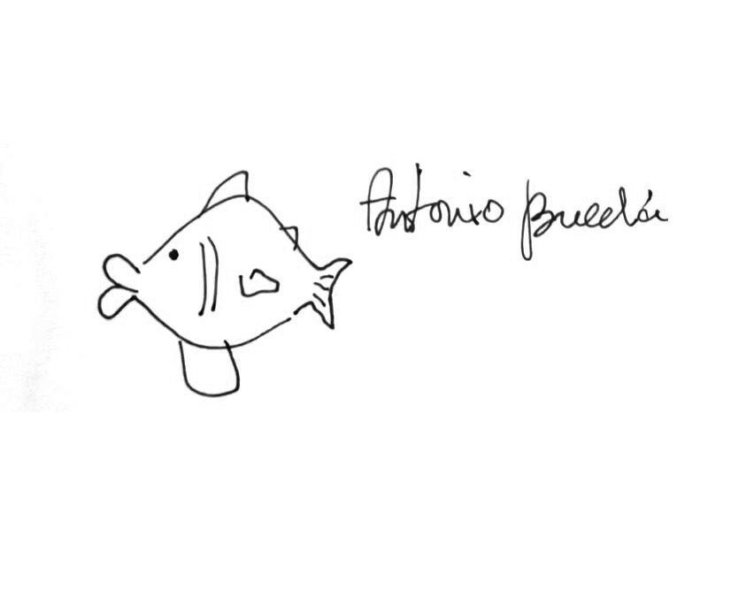 Salmón del Cinca, por Antonio Buendía