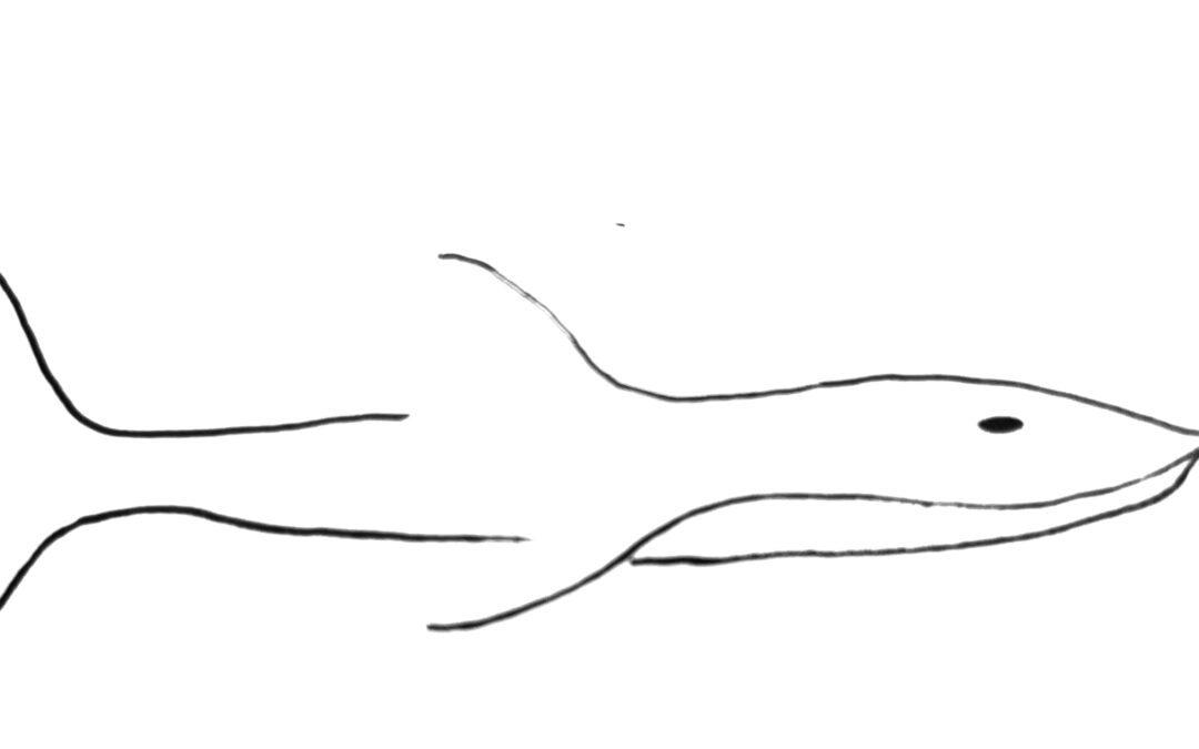 esturión del Ebro, por Diego Blasco