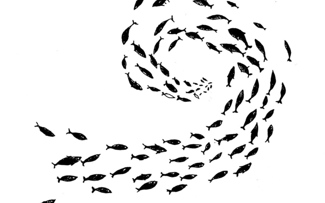 pez espiral de fuerza, por Leonardo Mateo