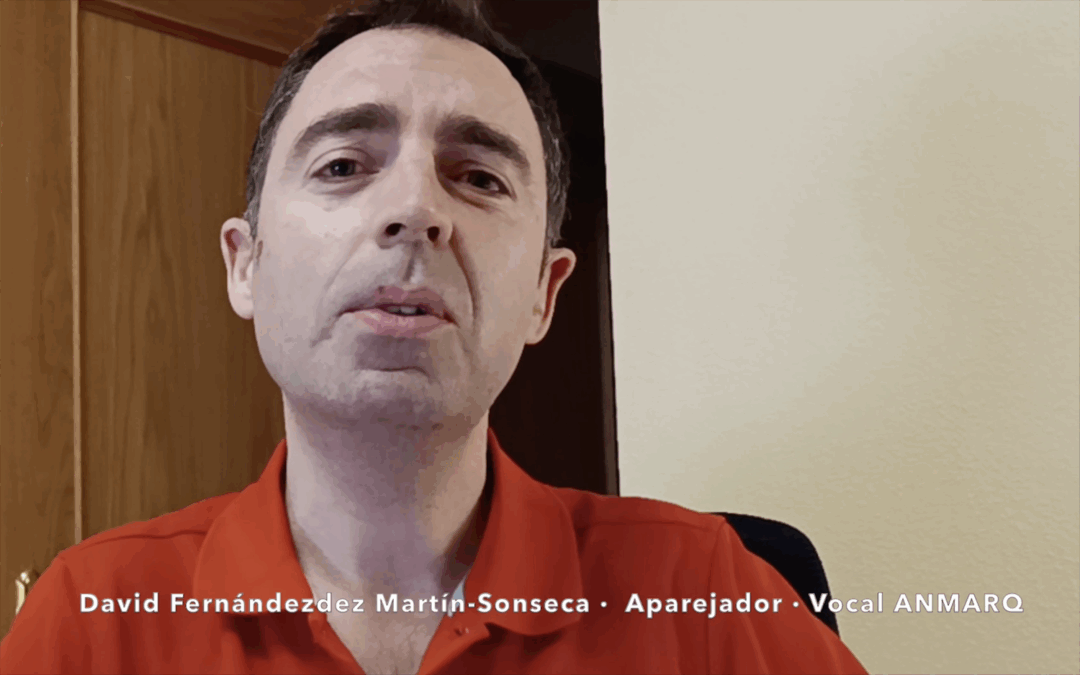 David Fernandez Martín-Sonseca