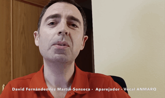 David Fernandez Martín-Sonseca