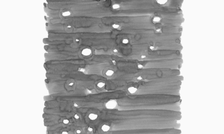 diálogo compartido, ¿pez?, por RCR arquitectes