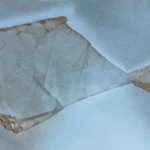 pez cristal, por Luis Peirote