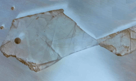 pez cristal, por Luis Peirote