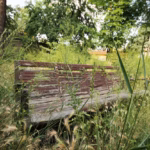 Editorial 20260301 «Jardines Profesionales (1)… »