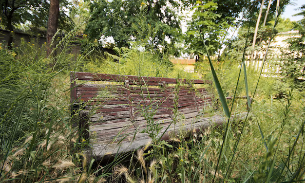 Editorial 20260301 «Jardines Profesionales (1)… »