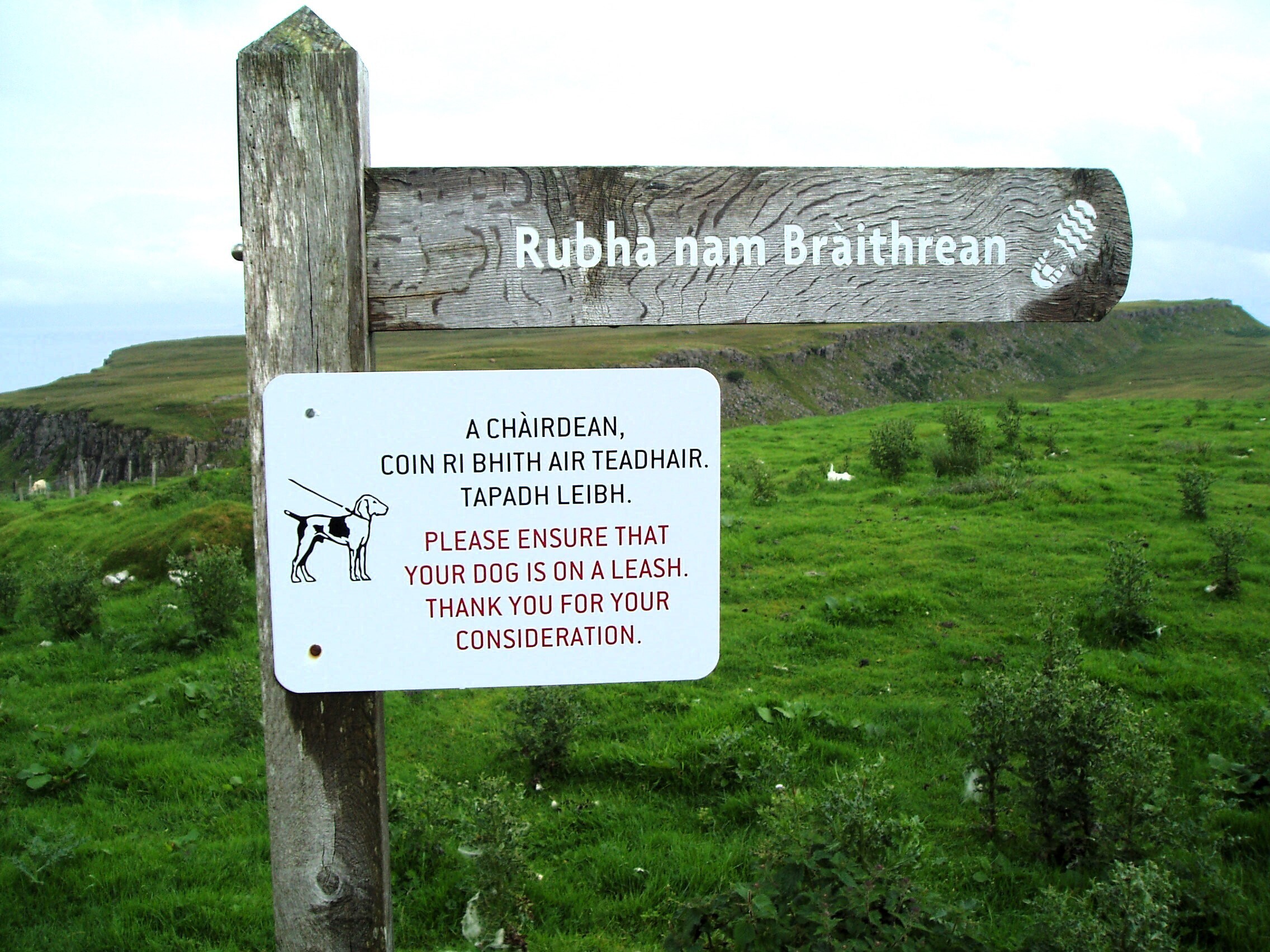 Staffin crofters issue dog control plea as lambing starts