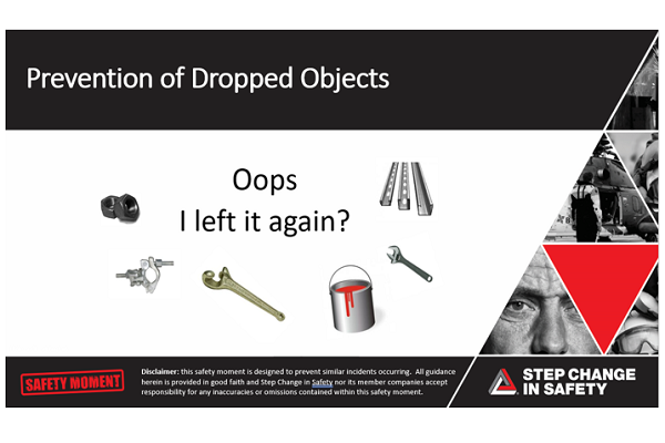 Prevention of Dropped Objects